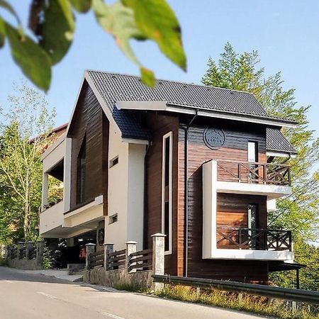 Casa Larisa Antonia Apartments Сіная Екстер'єр фото