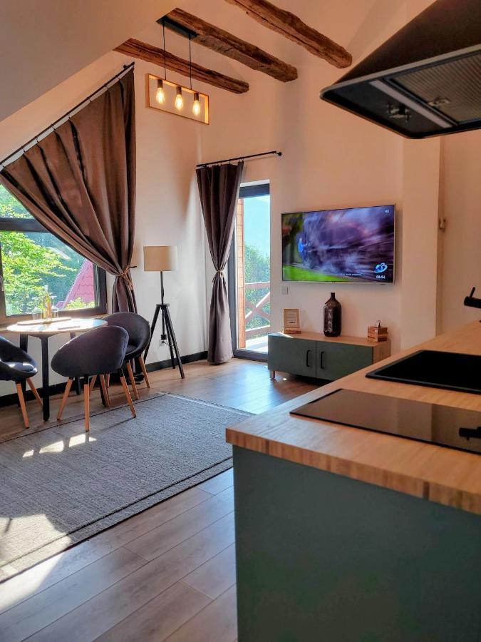 Casa Larisa Antonia Apartments Сіная Екстер'єр фото
