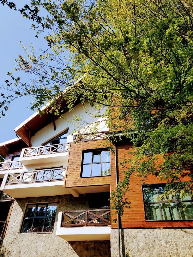 Casa Larisa Antonia Apartments Сіная Екстер'єр фото