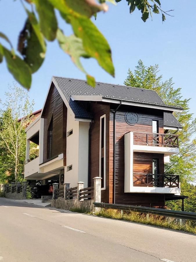 Casa Larisa Antonia Apartments Сіная Екстер'єр фото